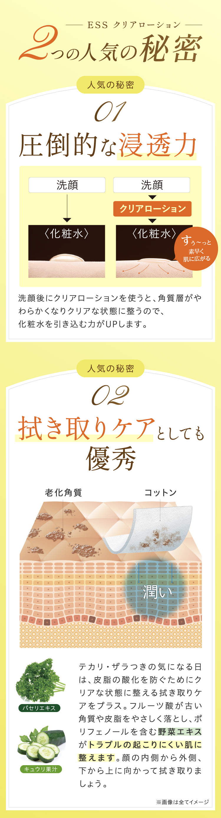 2つの人気の秘密