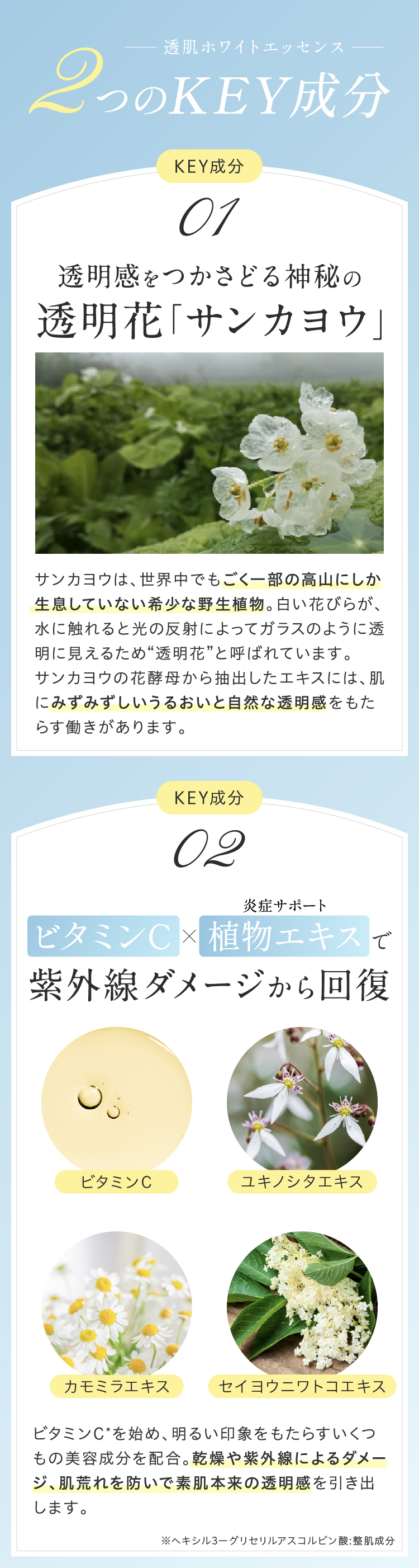 透肌ホワイトエッセンス２つのKEY成分