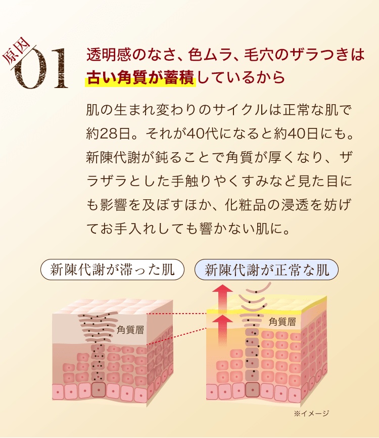 【原因1】透明感のなさ、色ムラ、毛穴のザラつきは古い角質が蓄積しているから