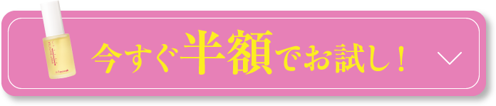 今すぐ半額でお試し！