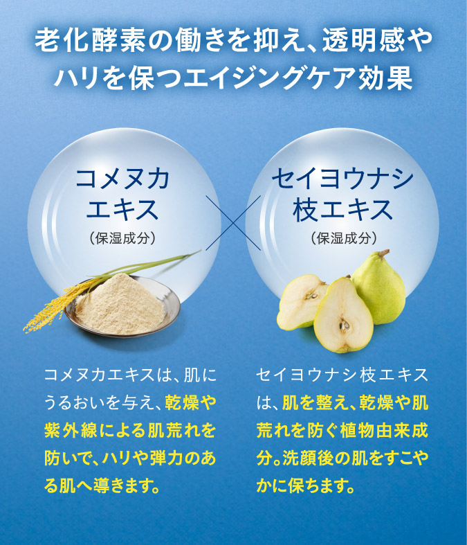 老化酵素の働きを抑え、透明感やハリを保つエイジングケア効果