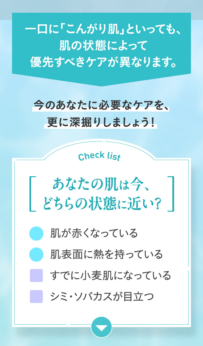 Check list[あなたの肌は今、どちらの状態に近い？]