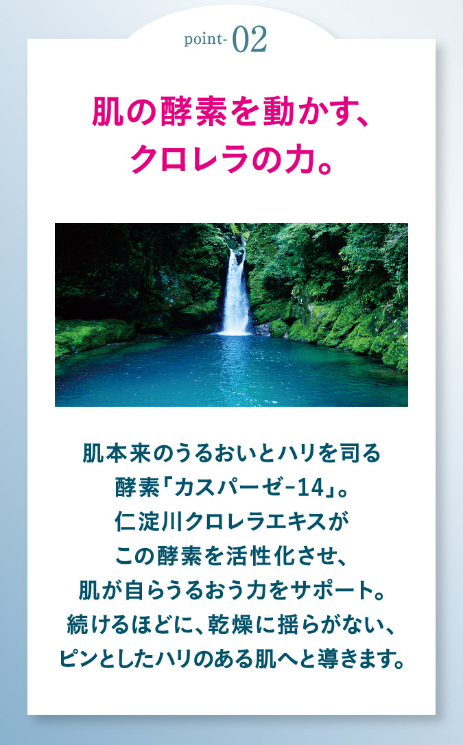 point02肌の酵素を動かす、クロレラの力。