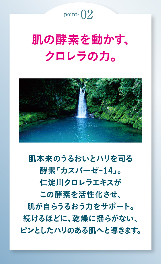 point02肌の酵素を動かす、クロレラの力。