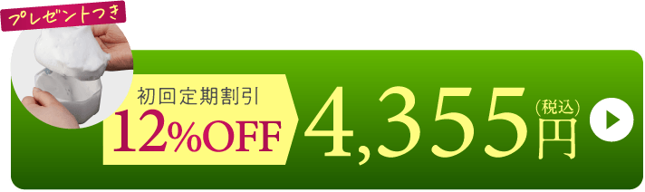 12%OFF→4,355円(税込)