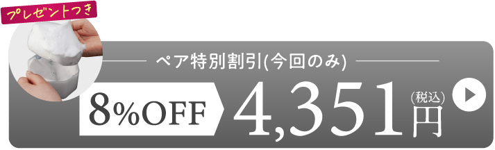8%OFF→4,351円(税込)