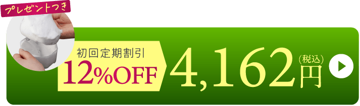 12%OFF→4,162円(税込)
