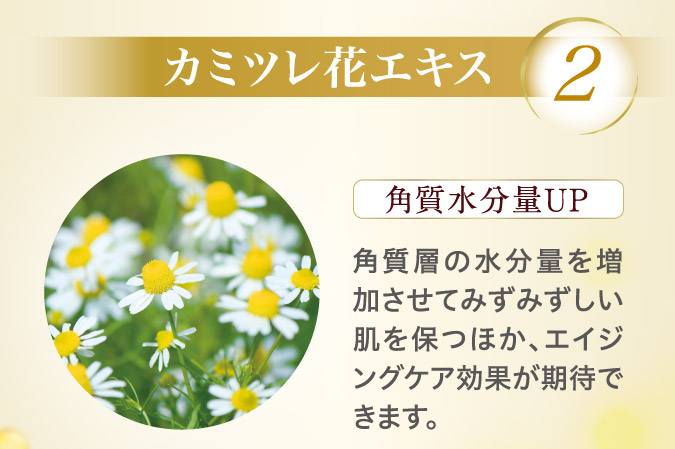 2.カミツレ花エキス