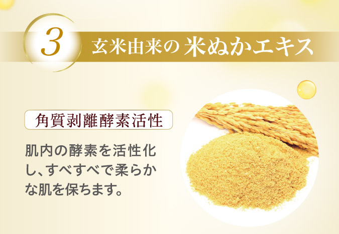 3.玄米由来の米ぬかエキス
