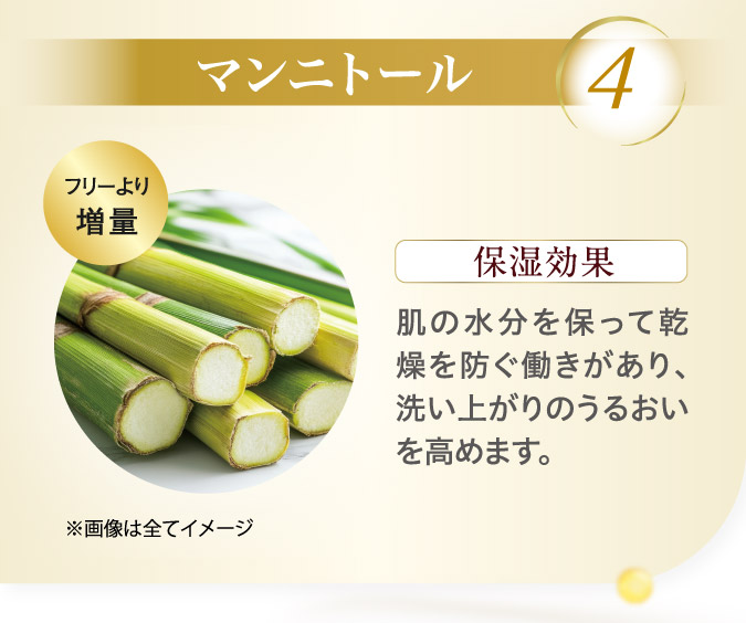 4.マンニトール