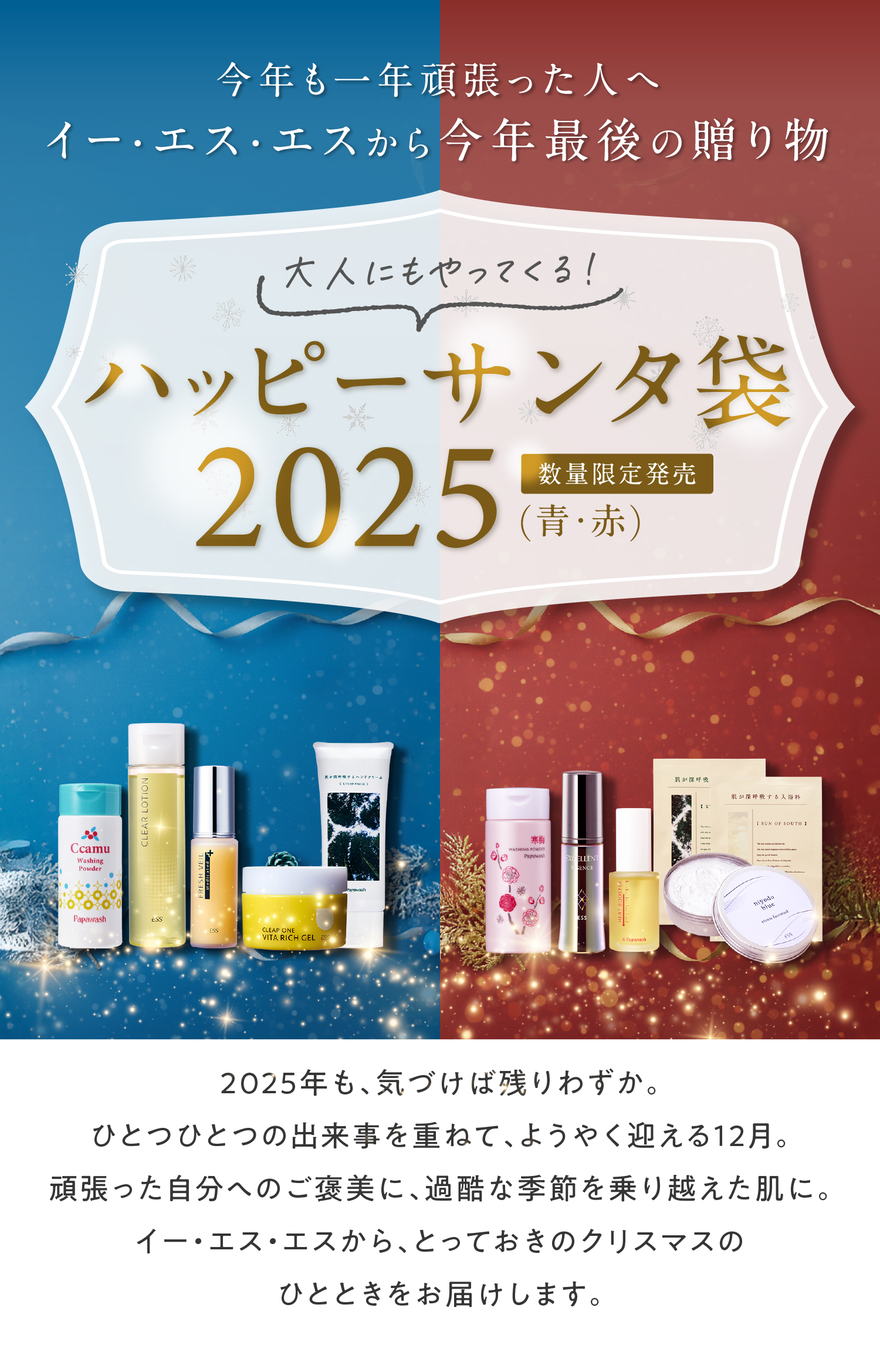 大人にもやってくる！ハッピーサンタ袋2025