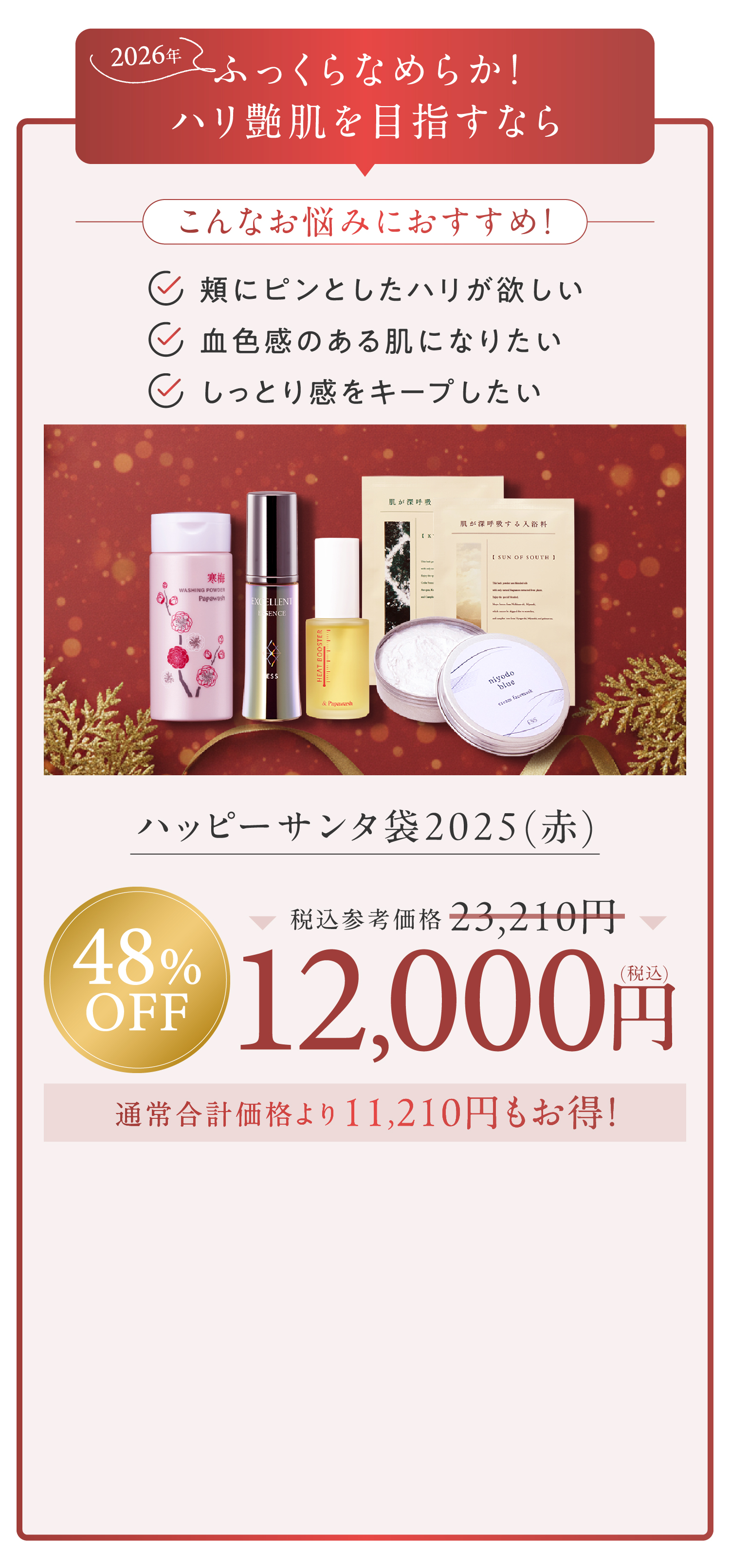 ハッピーサンタ袋2025(赤)