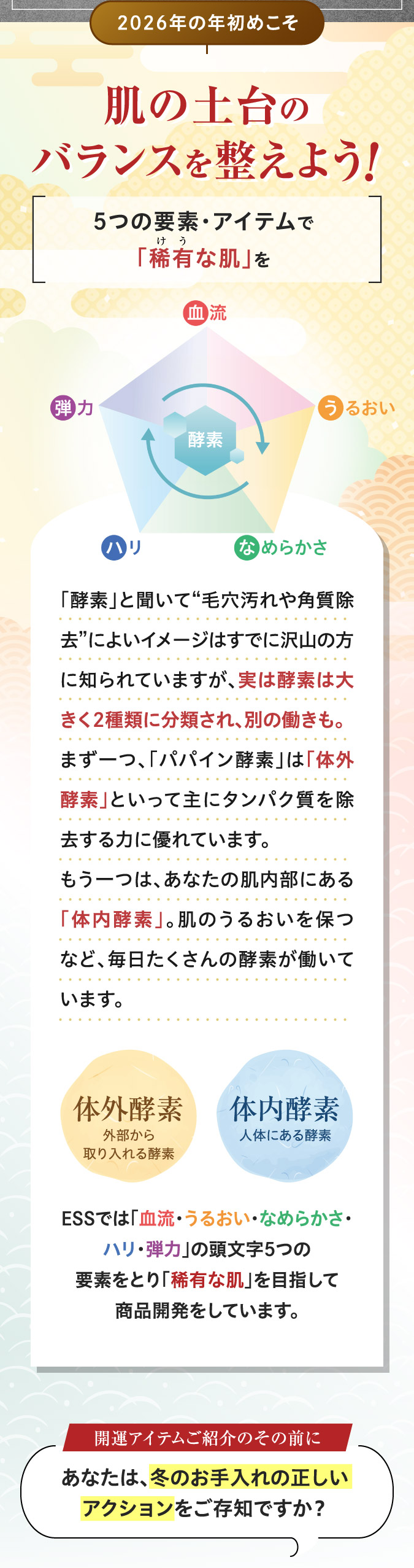2026年の年始めこそ