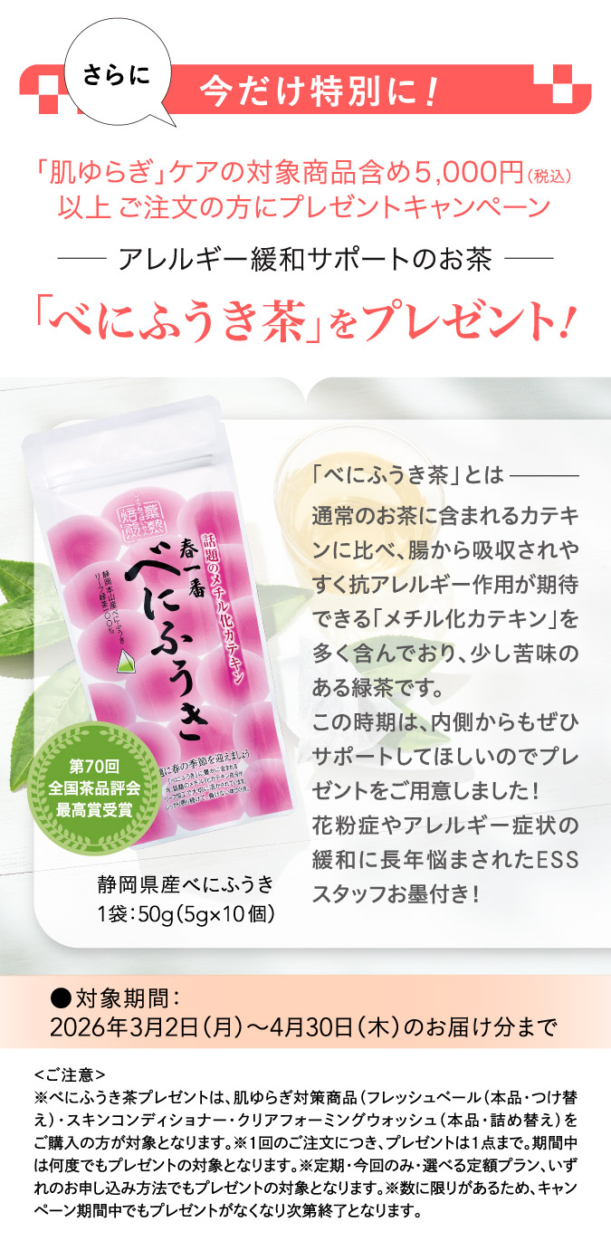 「べにふうき茶」をプレゼント！