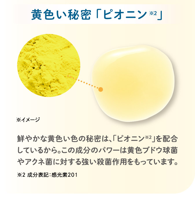 黄色い秘密「ピオニン」