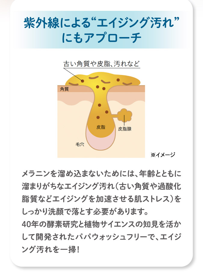 紫外線による”エイジング”汚れにもアプローチ