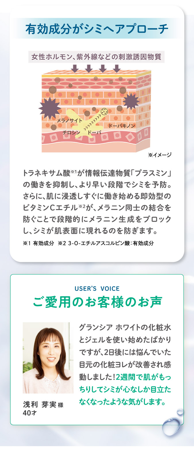 有効成分がシミへアプローチ