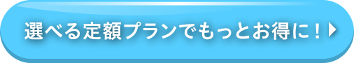 選べる定期プラン