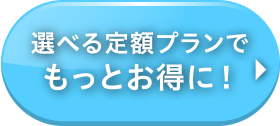 選べる定期プラン