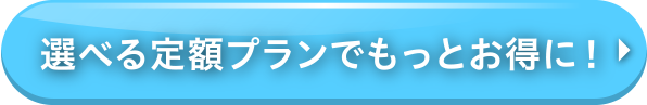 選べる定期プラン
