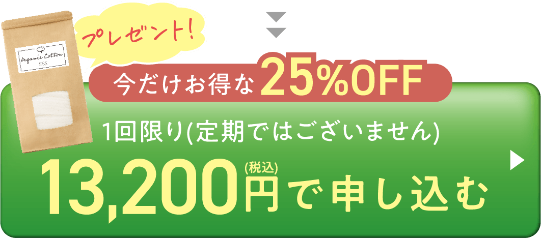 25%OFF-13,200円