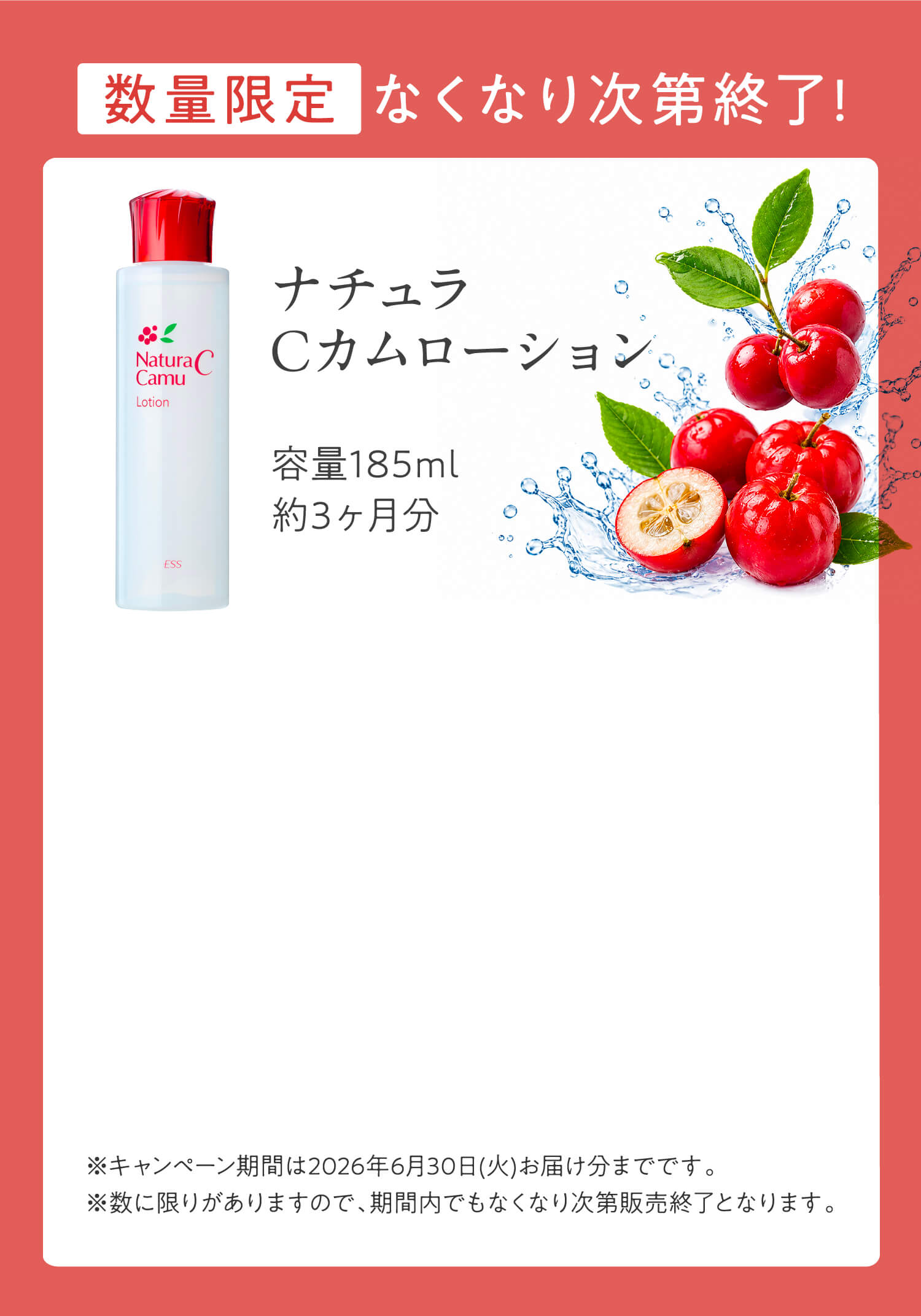 ロゼブライトパパウォッシュ最大12%OFF