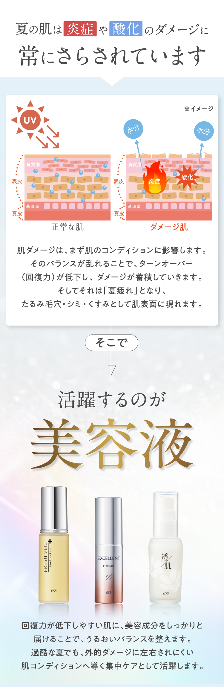 夏の肌は炎症や酸化のダメージに常にさらされています
