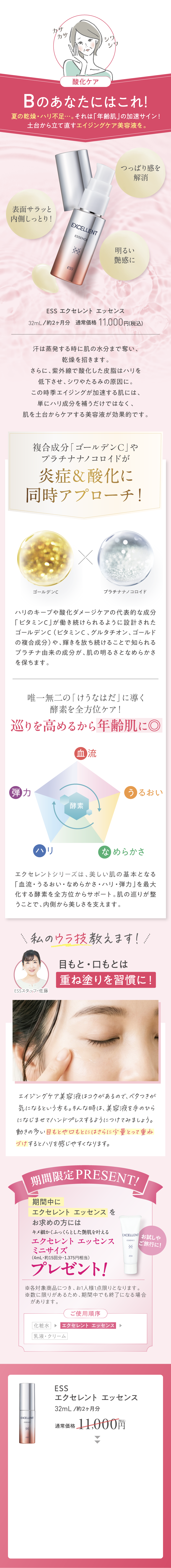 エクセレント説明