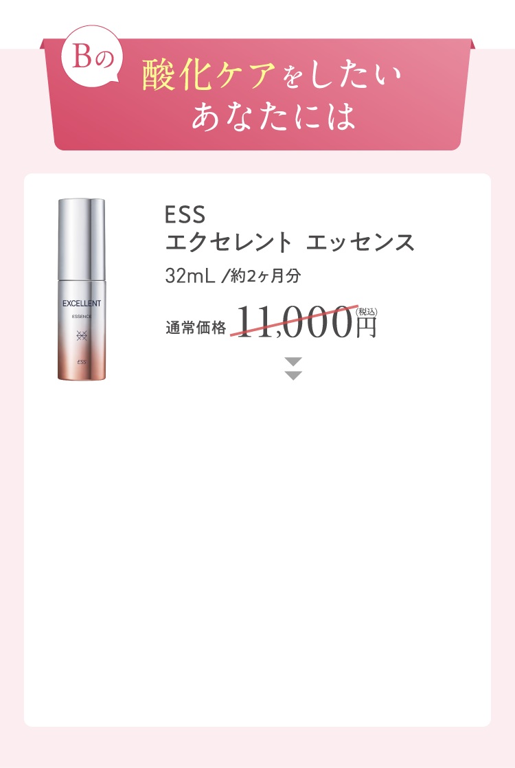 エクセレント説明