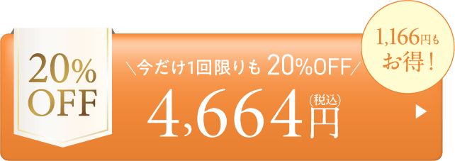 【本品】都度20%OFF-4,664円