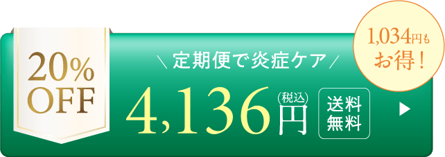 【詰め替え】定期20%OFF-4,136円