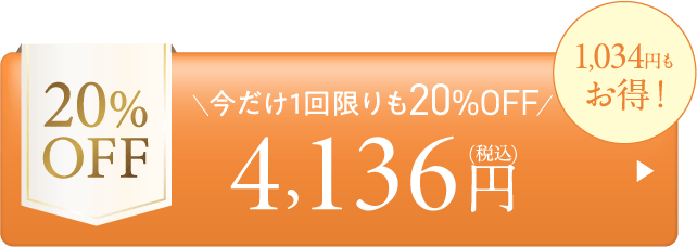 【詰め替え】都度20%OFF-4,136円
