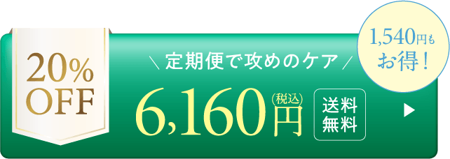 定期25%OFF-8,250円