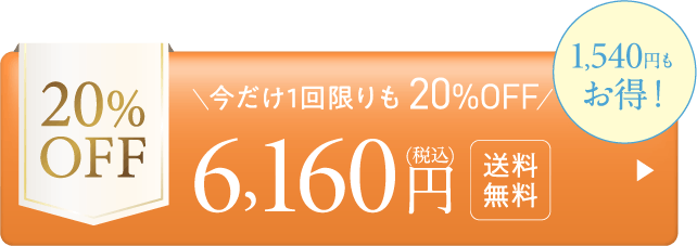 都度25%OFF-8,250円
