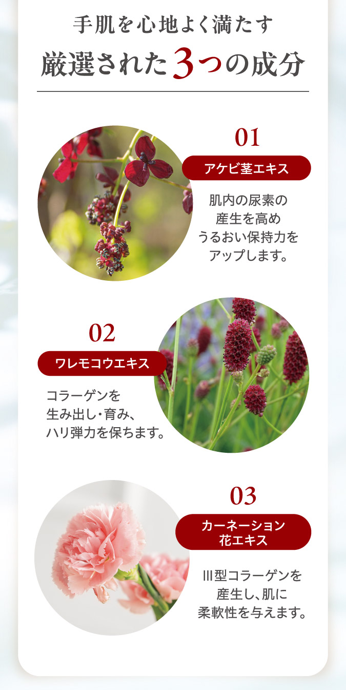 厳選された3つの成分