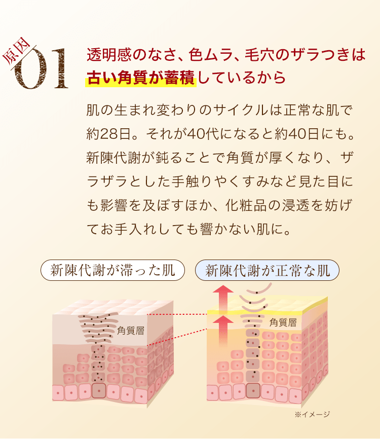 【原因1】透明感のなさ、色ムラ、毛穴のザラつきは古い角質が蓄積しているから