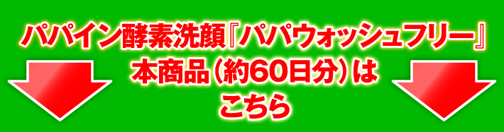 パパイン酵素洗顔『パパウォッシュフリー』本商品（約60日分）はこちら